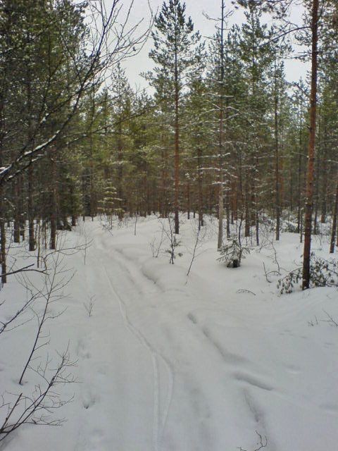 DSC01161.JPG ht=640