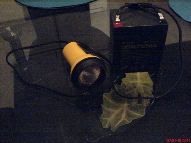 DSC01165_small50.jpg ht=544