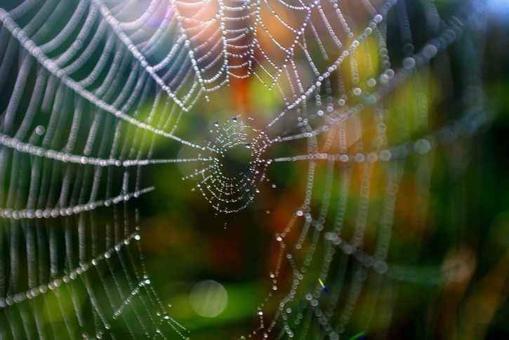 DSC01186_1_kompr.jpg ht=485