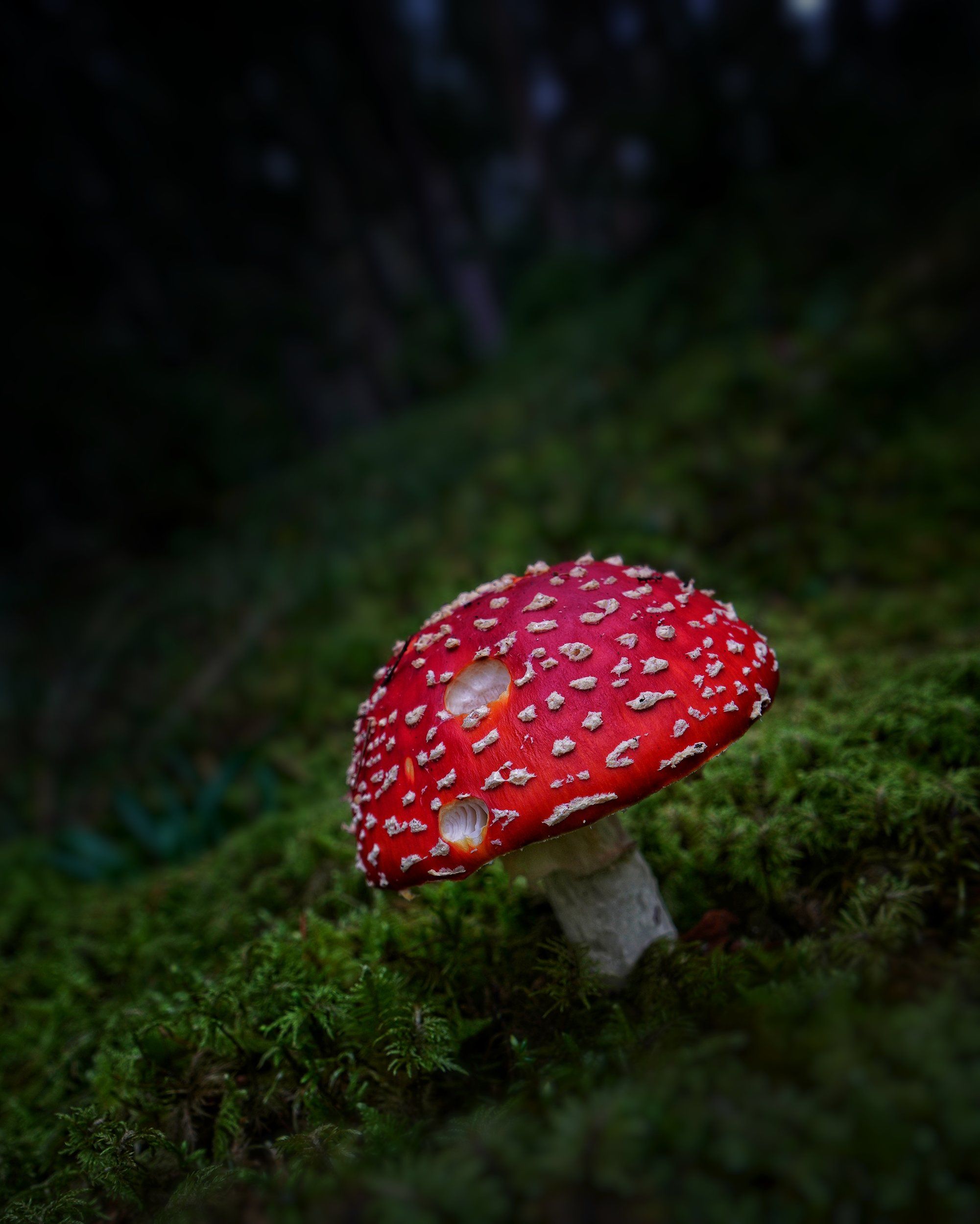 DSC01216-01.jpg
