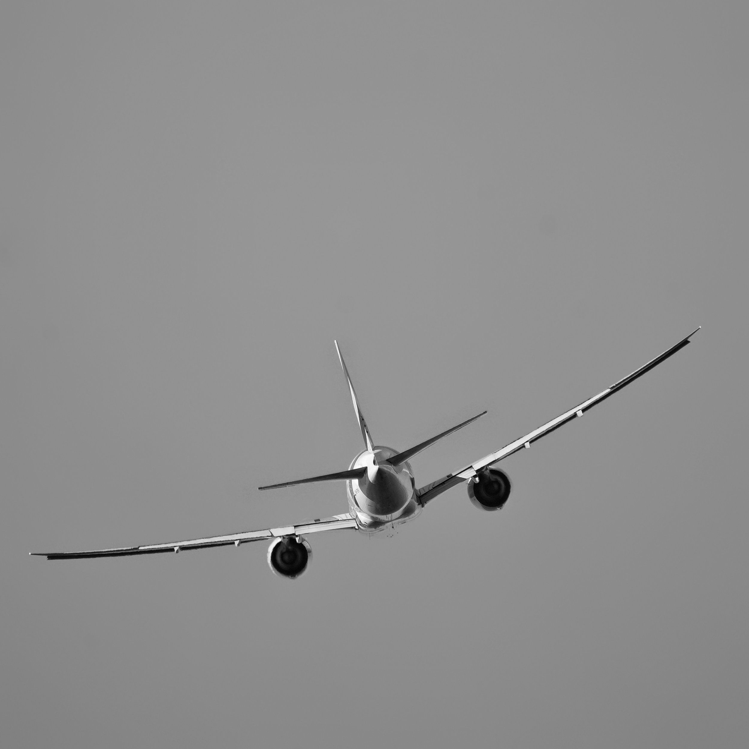 DSC01606-01.jpg