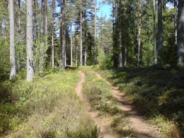 DSC01621.JPG ht=480