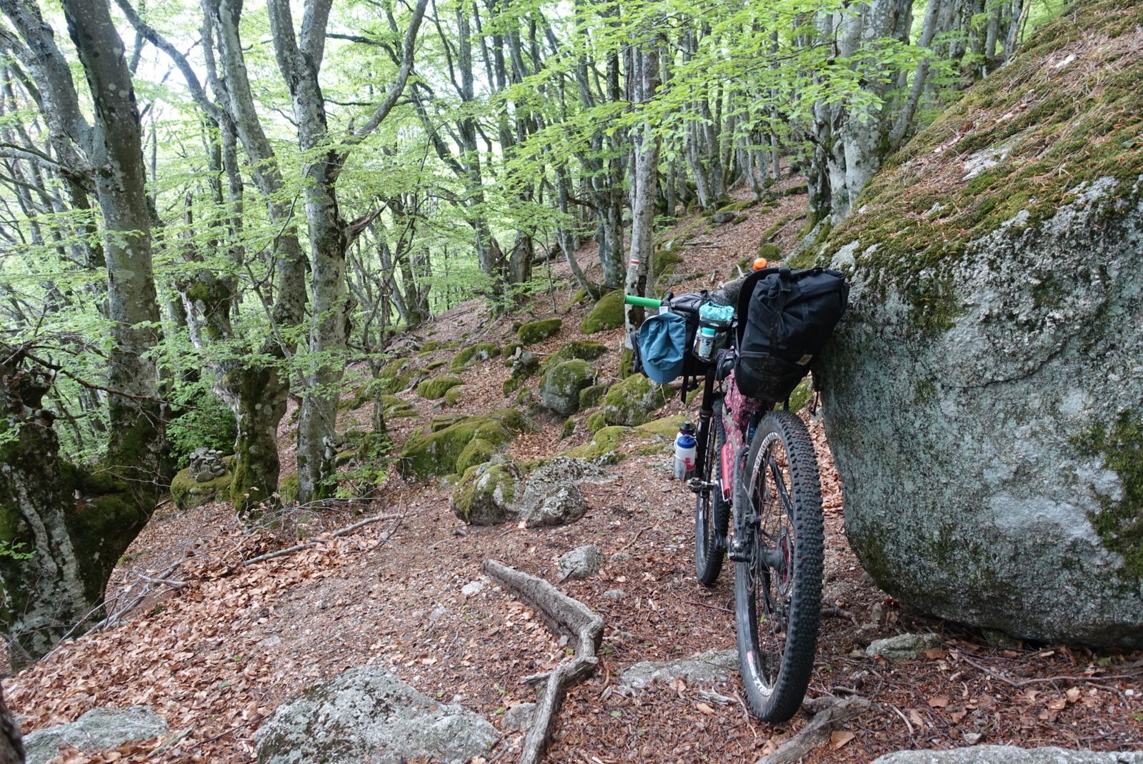 DSC01640.JPG
