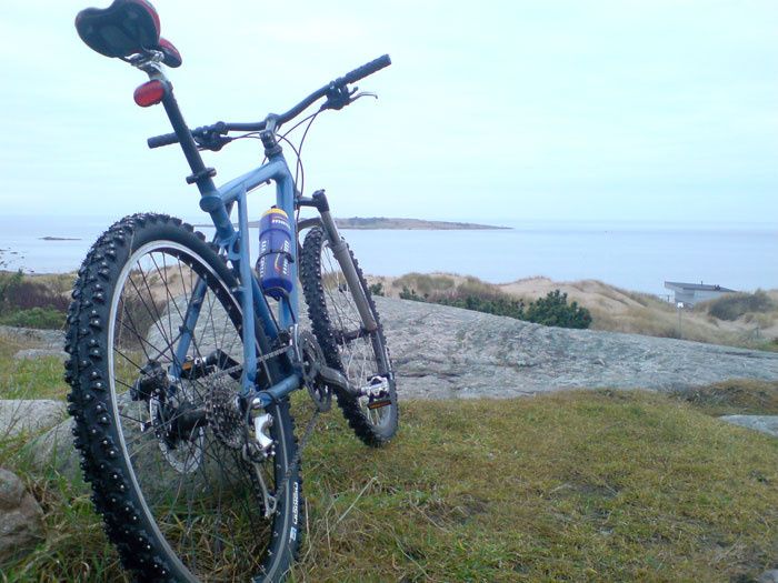 DSC01913_700.jpg ht=525