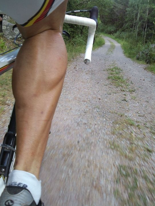 DSC01983r.jpg ht=725