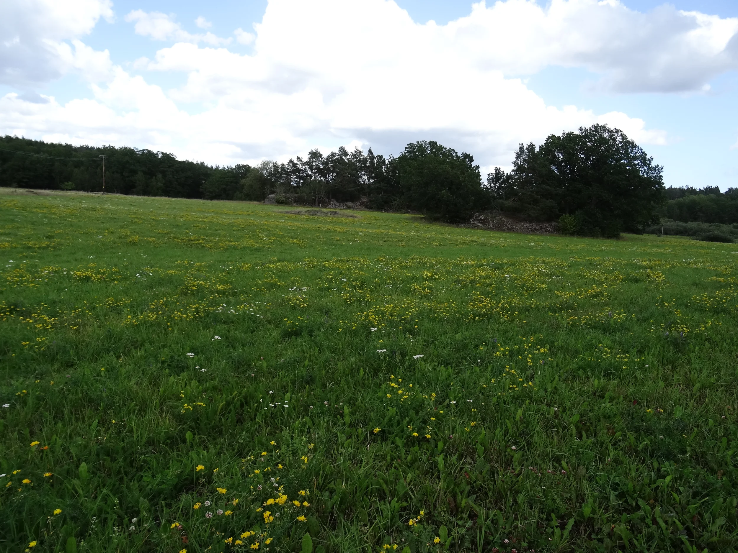 DSC02588.webp