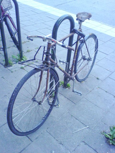 DSC02686_x.jpg ht=640