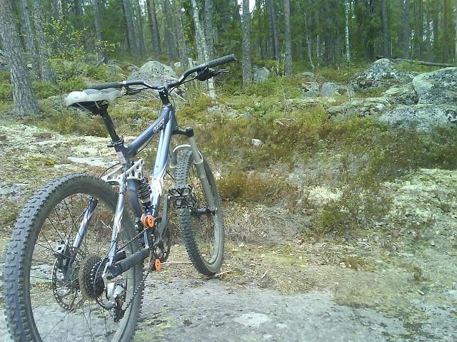 DSC028302.JPG ht=480