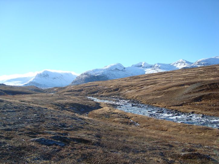 DSC03180.JPG