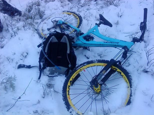 DSC03504liten.jpg ht=461