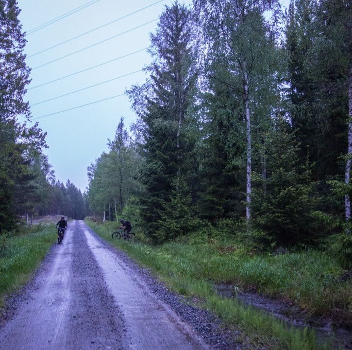DSC03621.jpg