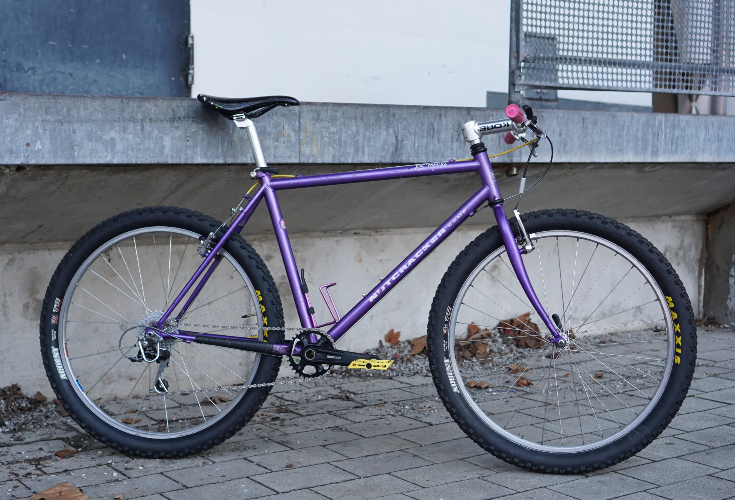 DSC04330.webp