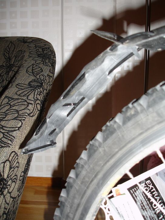 DSC04682_resize.JPG ht=725