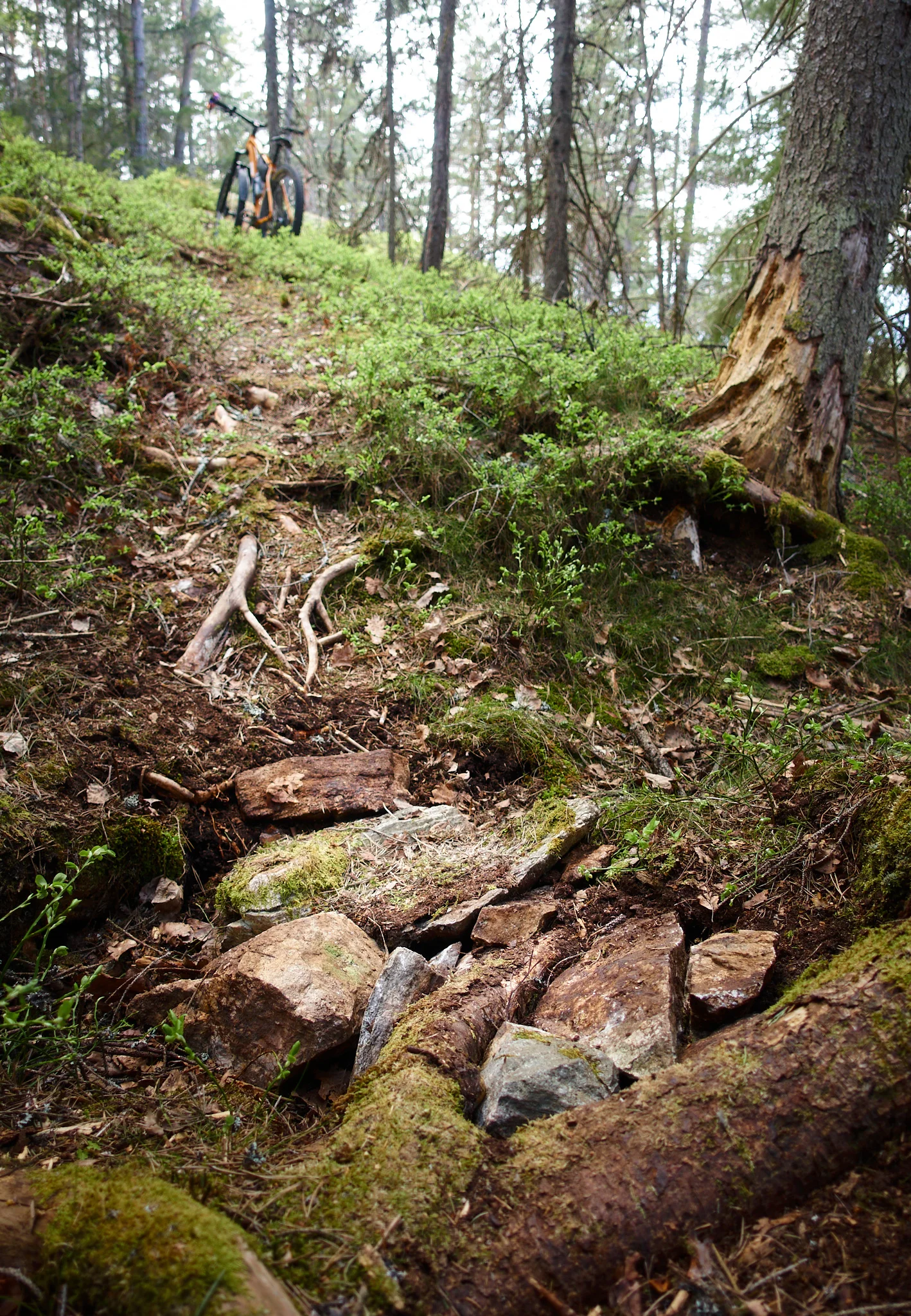 DSC04844_2048.webp