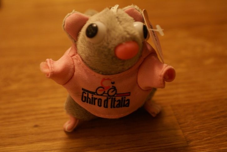 DSC05211.JPG ht=485