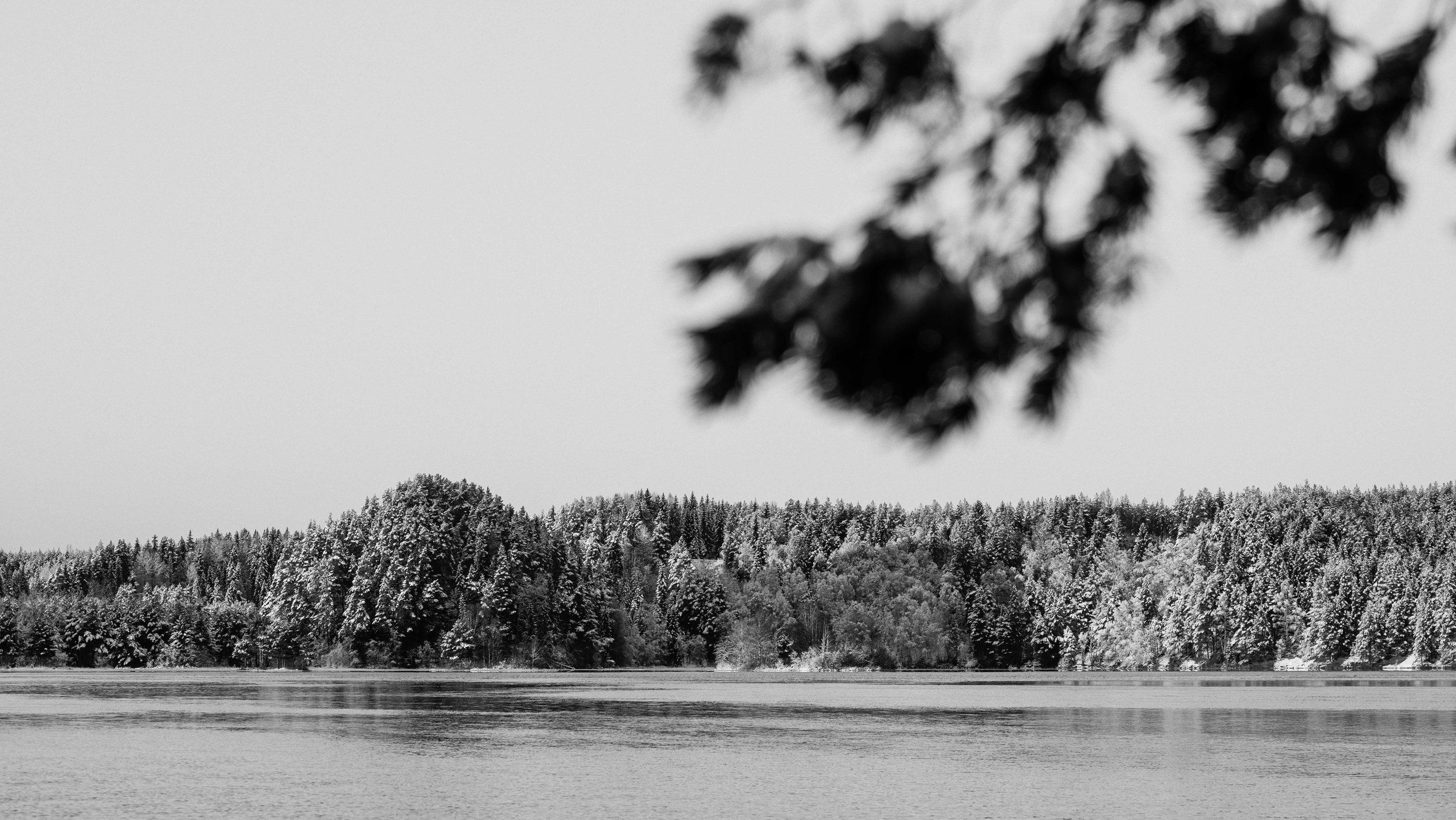 DSC05603-Redigera.jpg