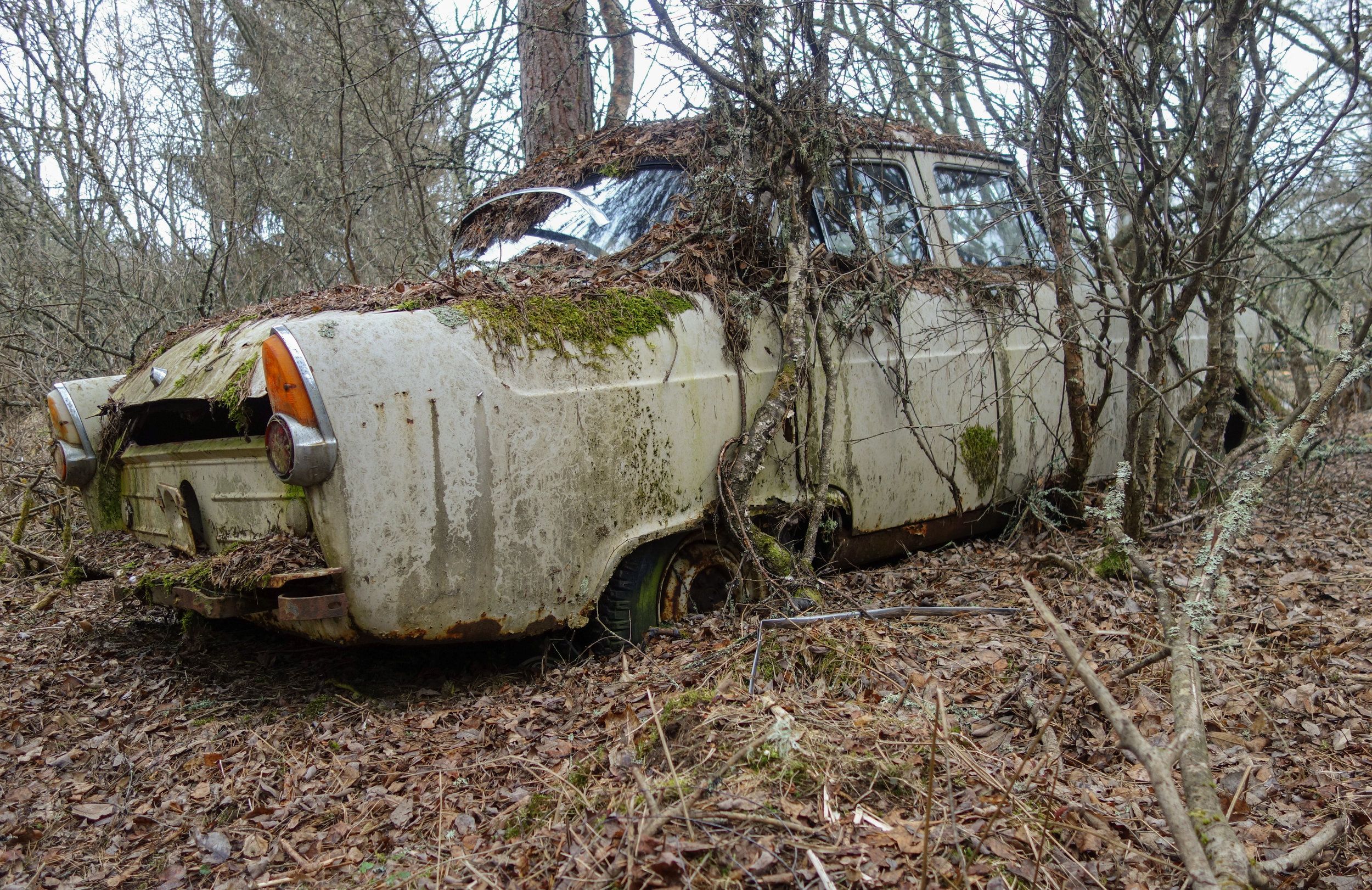 DSC05697.jpg