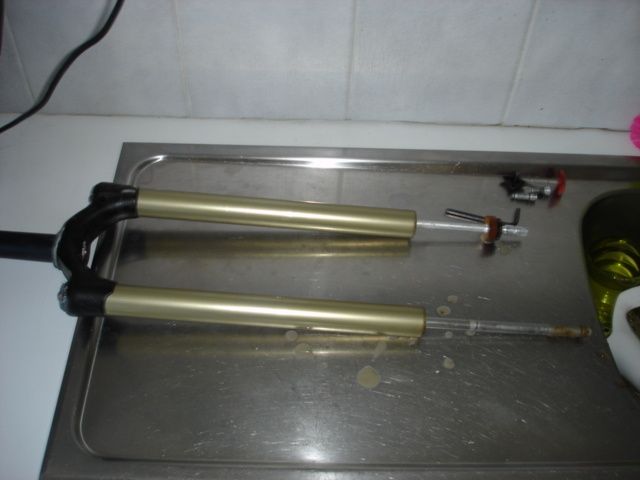 DSC06013.JPG