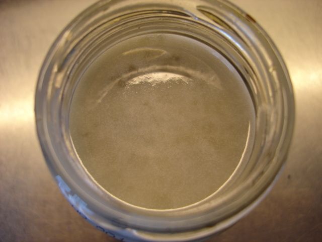 DSC06016.JPG