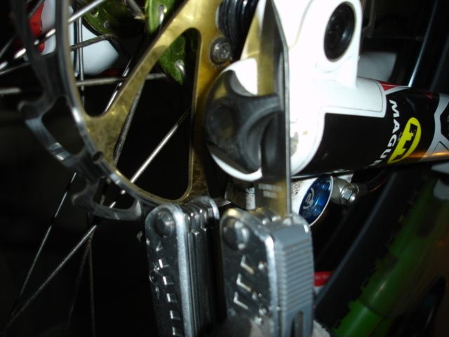 DSC06050.JPG