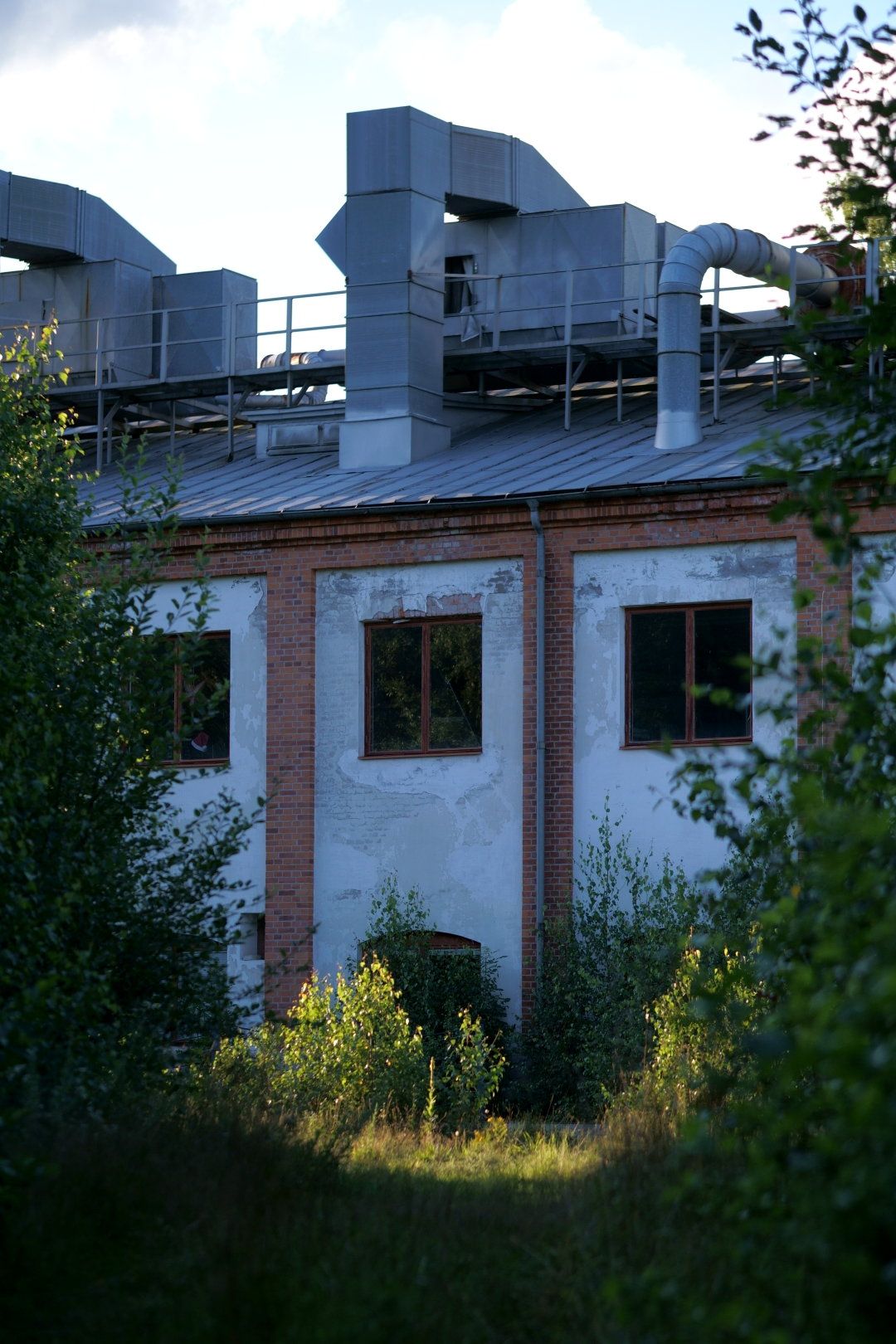 DSC06067.JPG