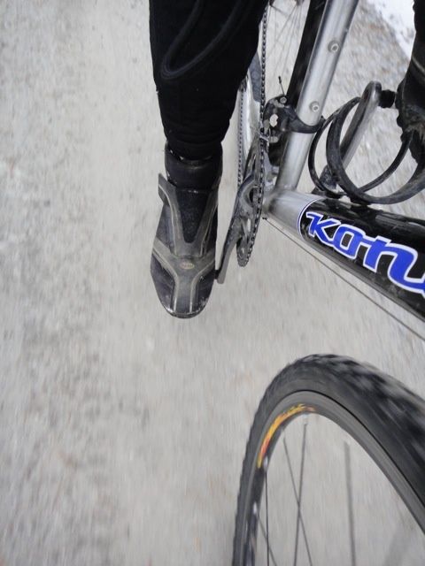 DSC07422_3.jpg