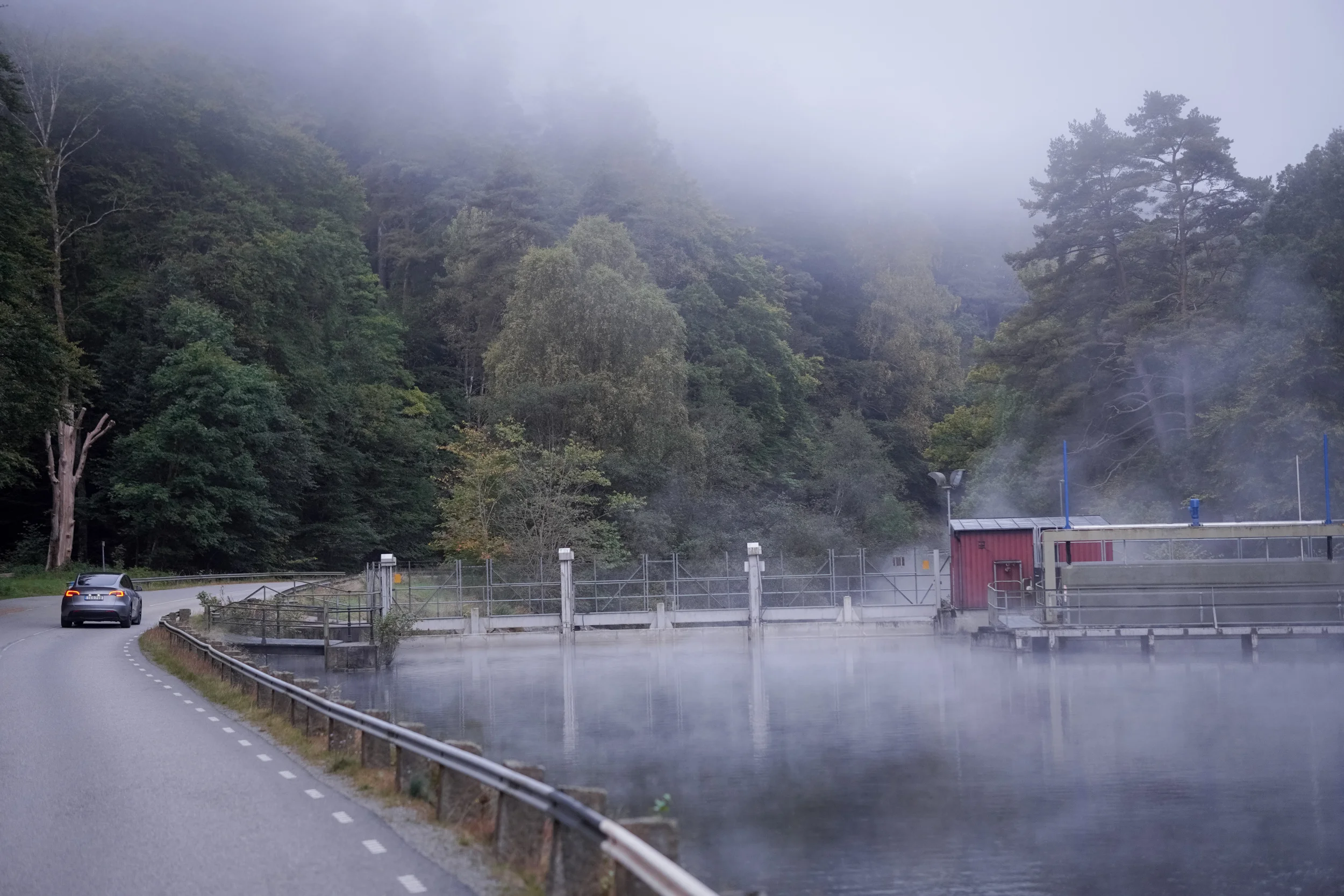 DSC08110.webp
