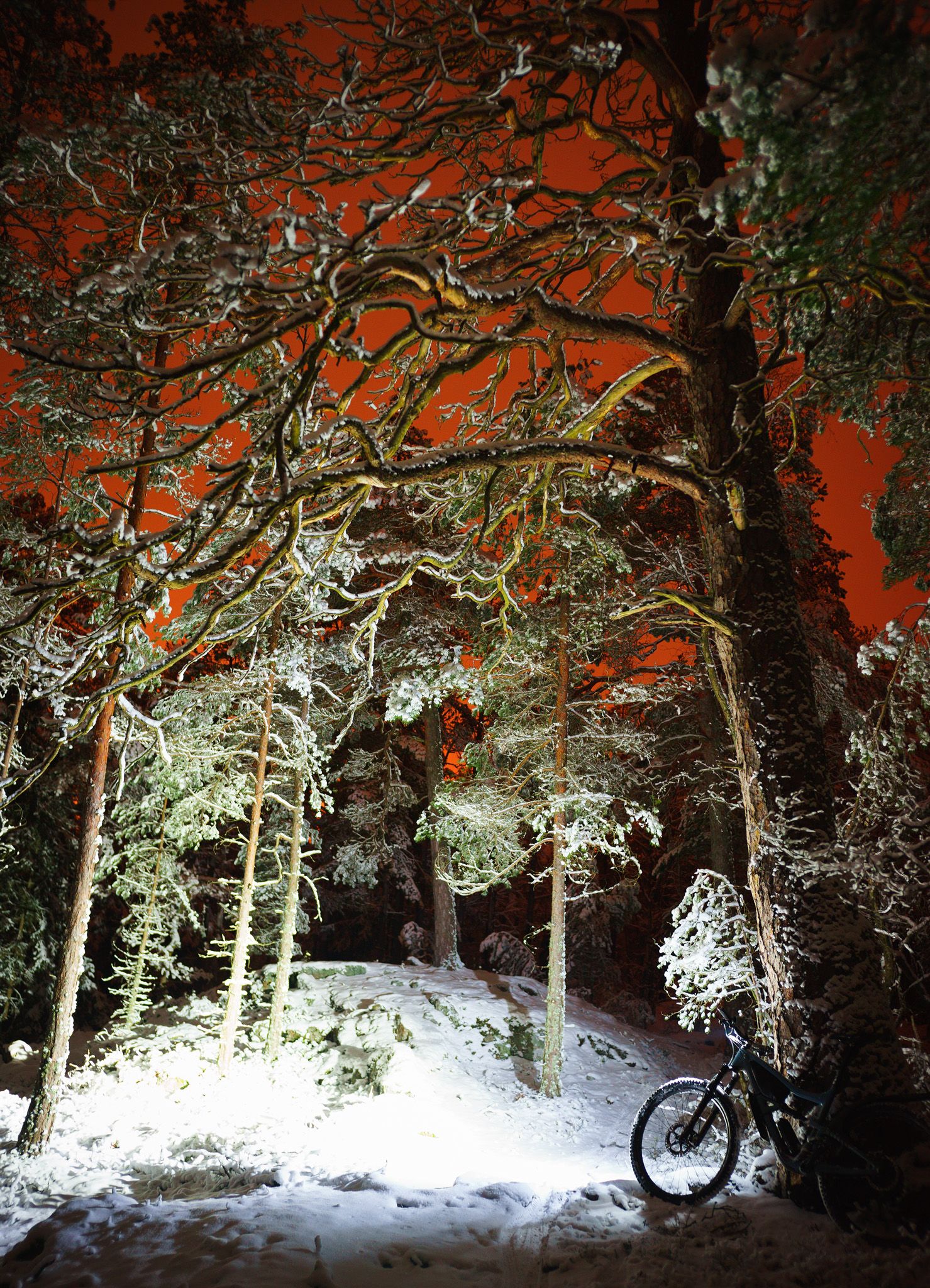 DSC08775_fb.jpg