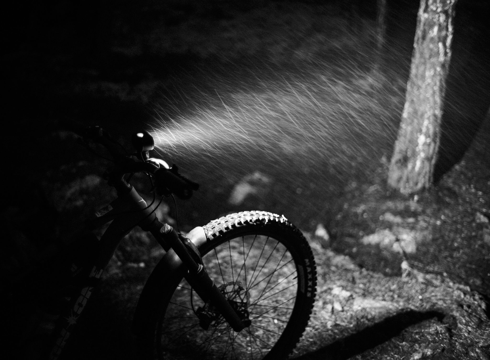 DSC08964_fb.jpg