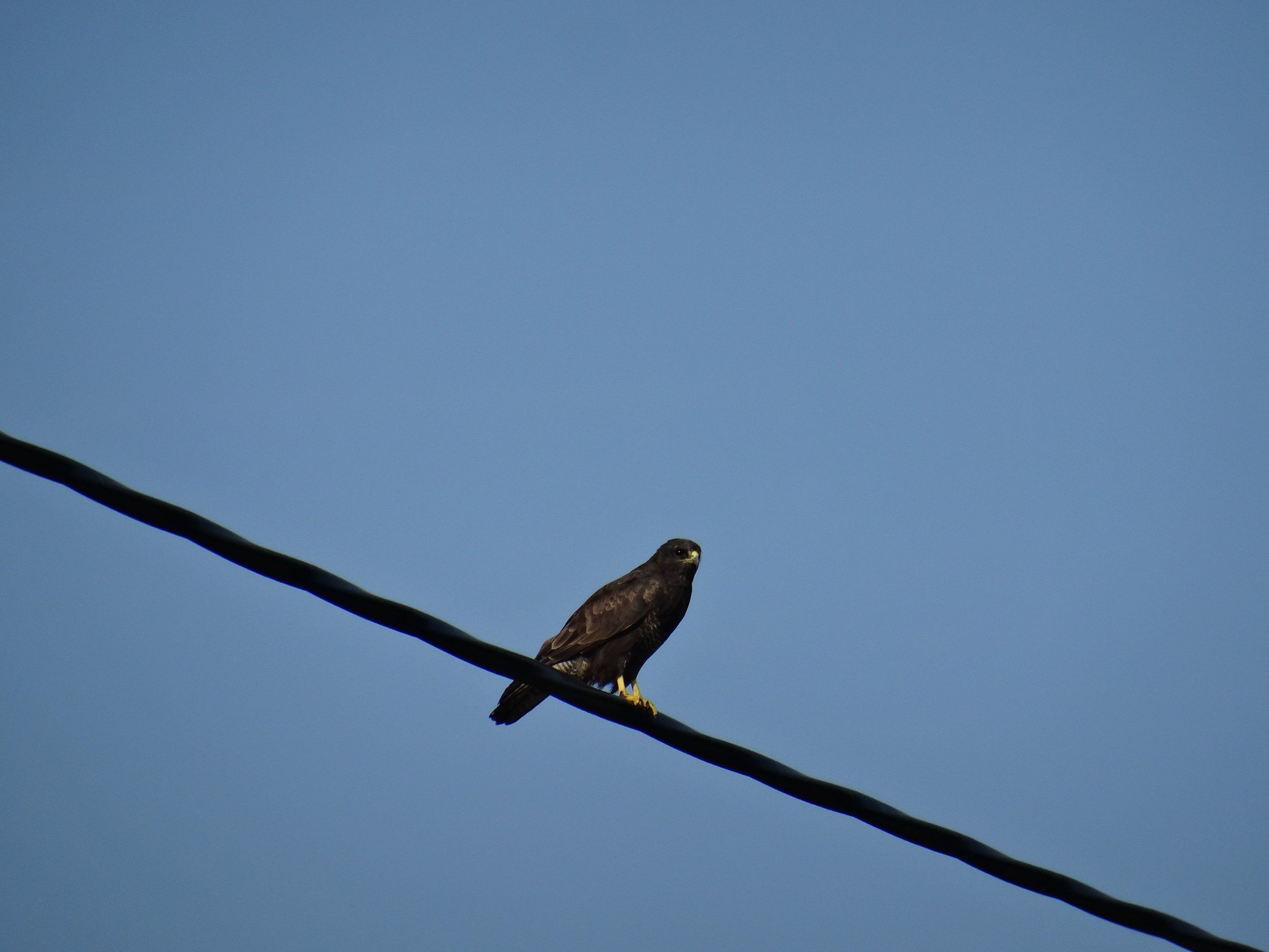 DSC09347.JPG