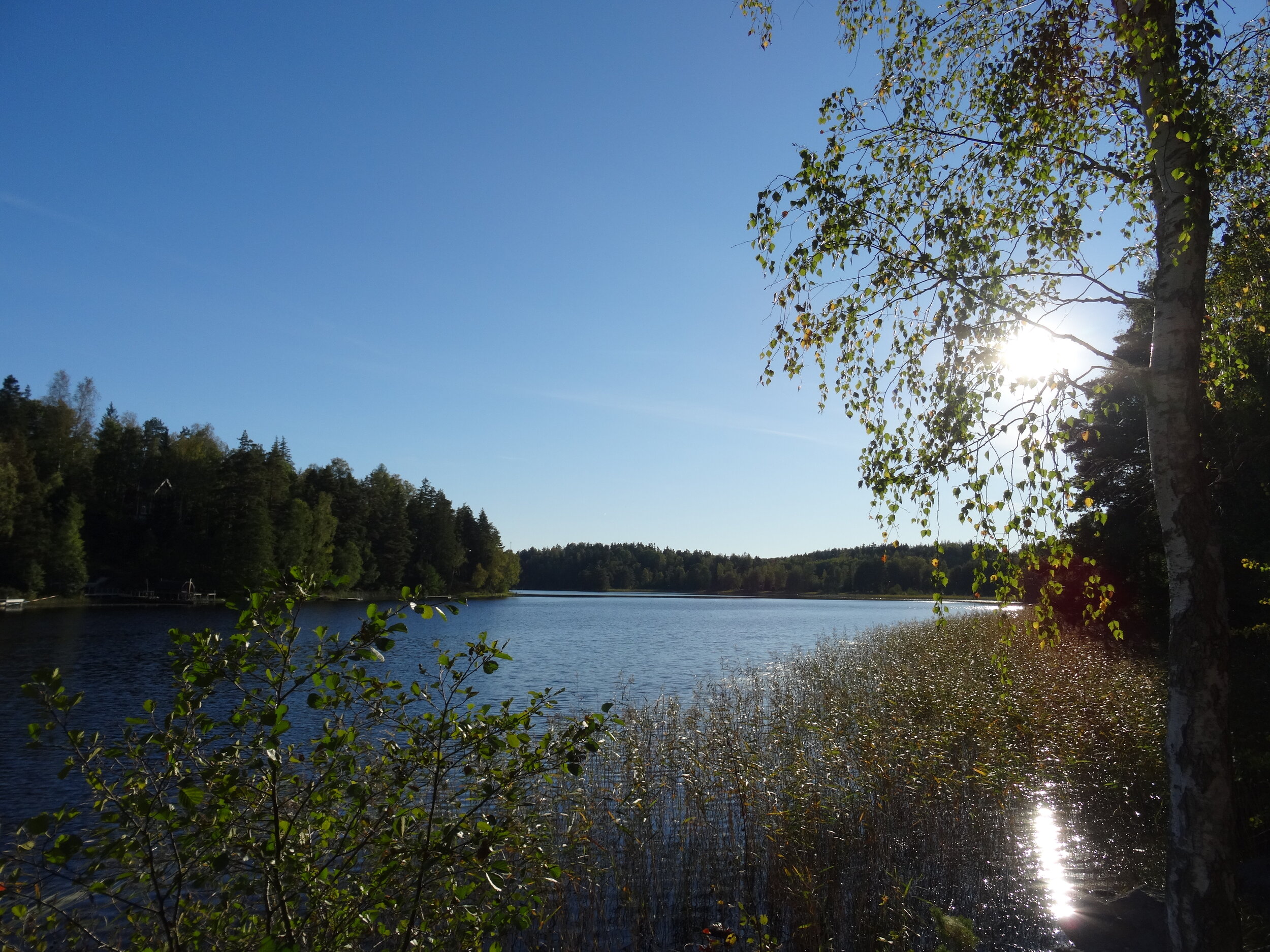 DSC09363.JPG
