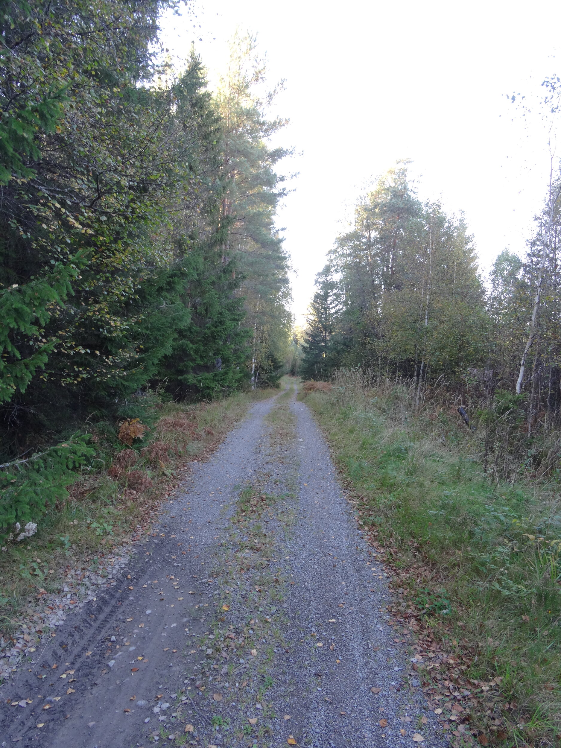 DSC09365.JPG