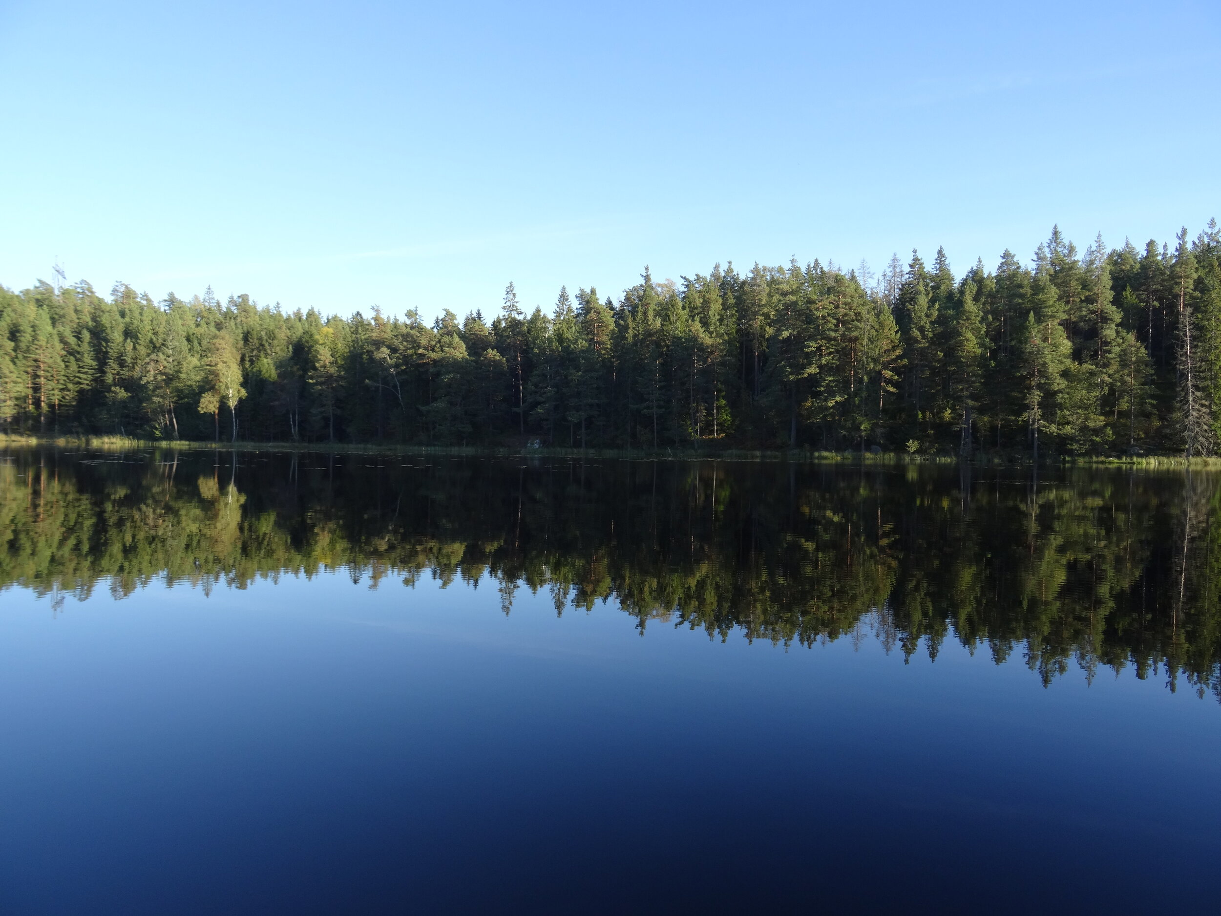 DSC09375.JPG