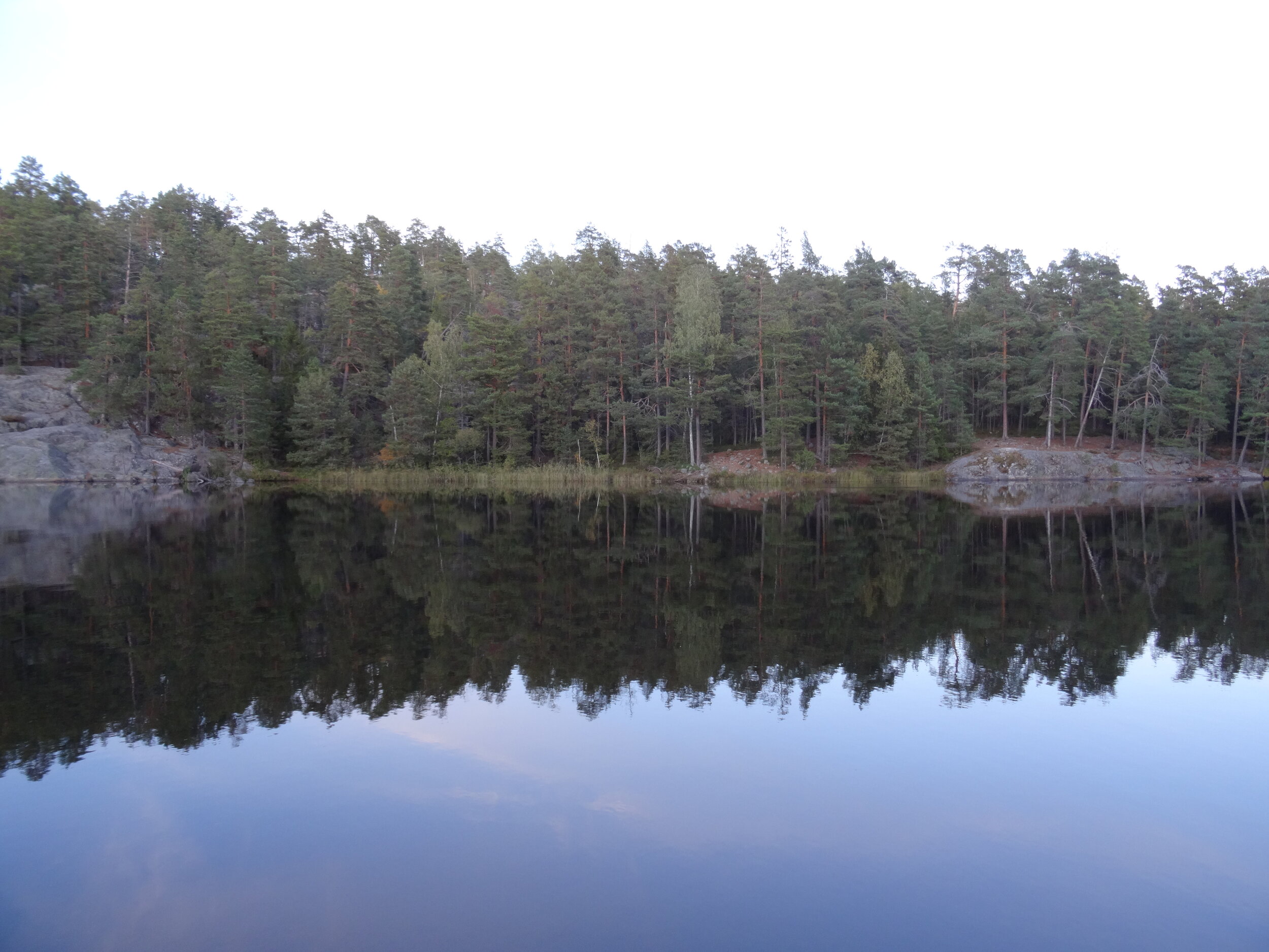 DSC09425.JPG