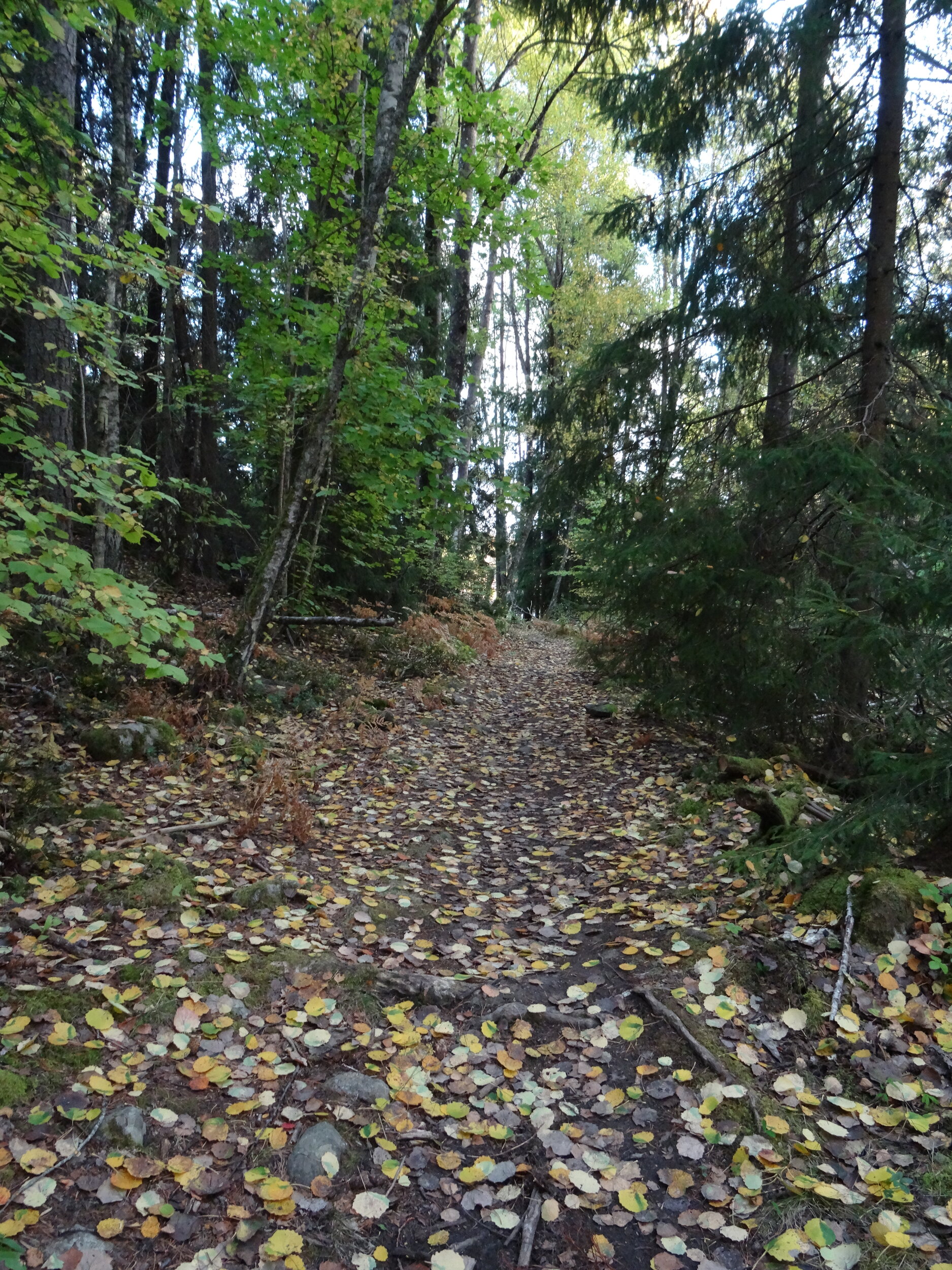 DSC09455.JPG