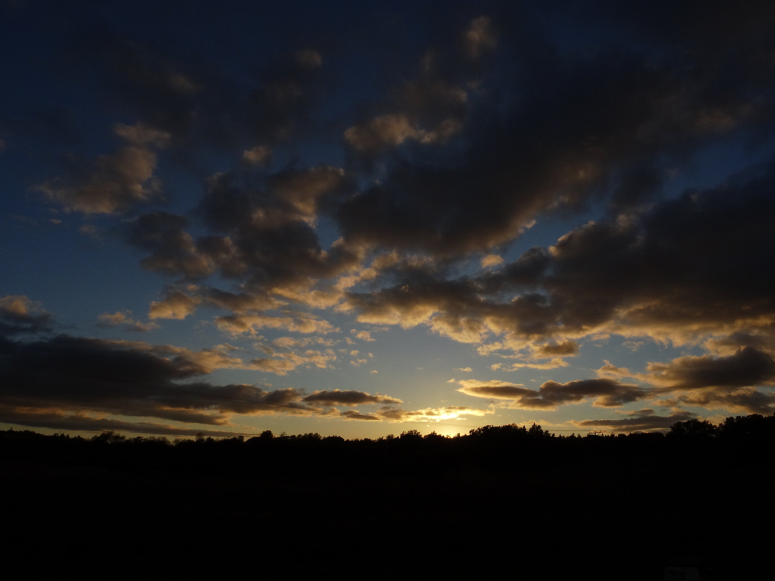 DSC09476.JPG