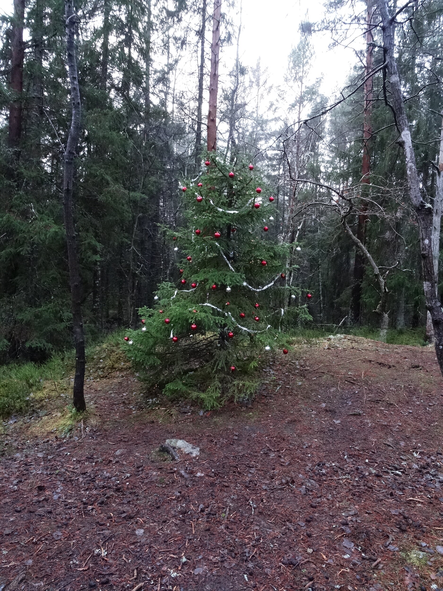 DSC09722.JPG