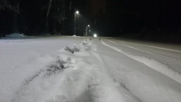 DSC_0007.JPG
