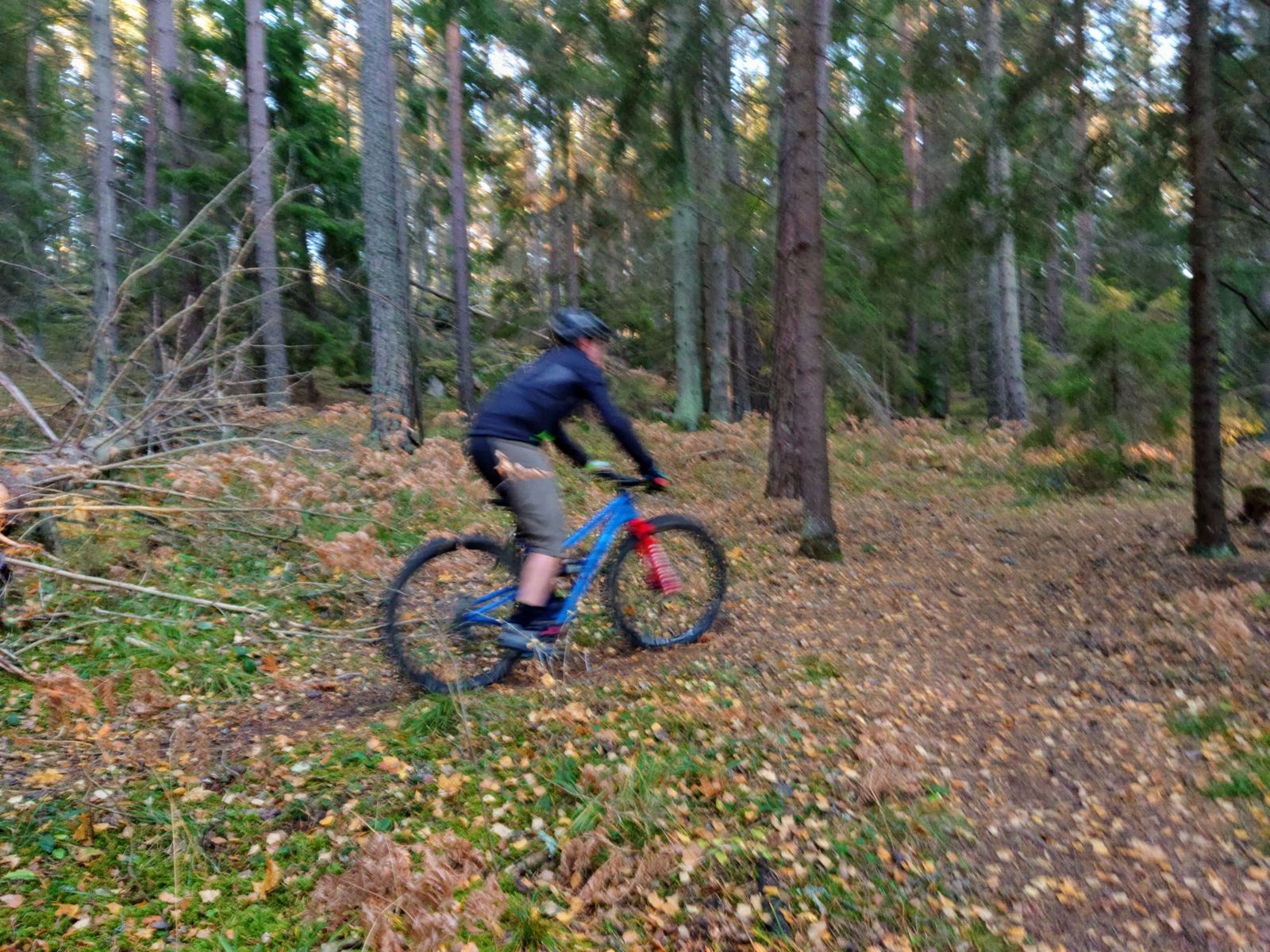 DSC_0013_BURST20181020162330065.JPG