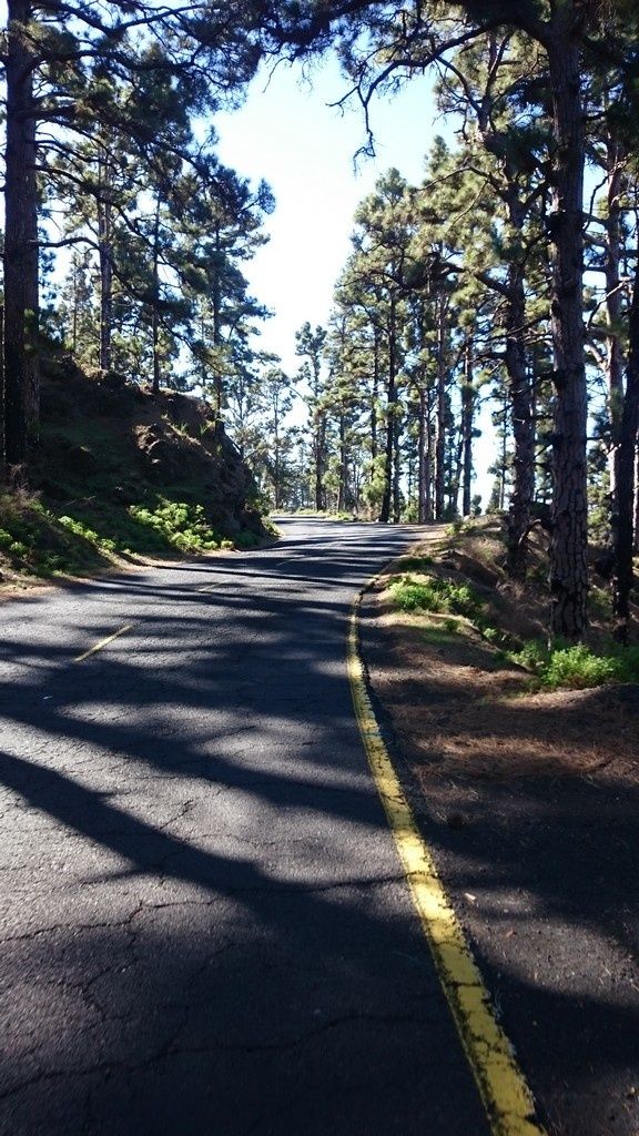 DSC_0015.jpg