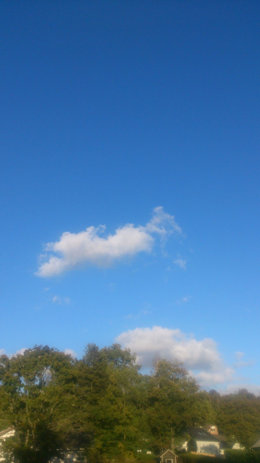 DSC_0018.JPG
