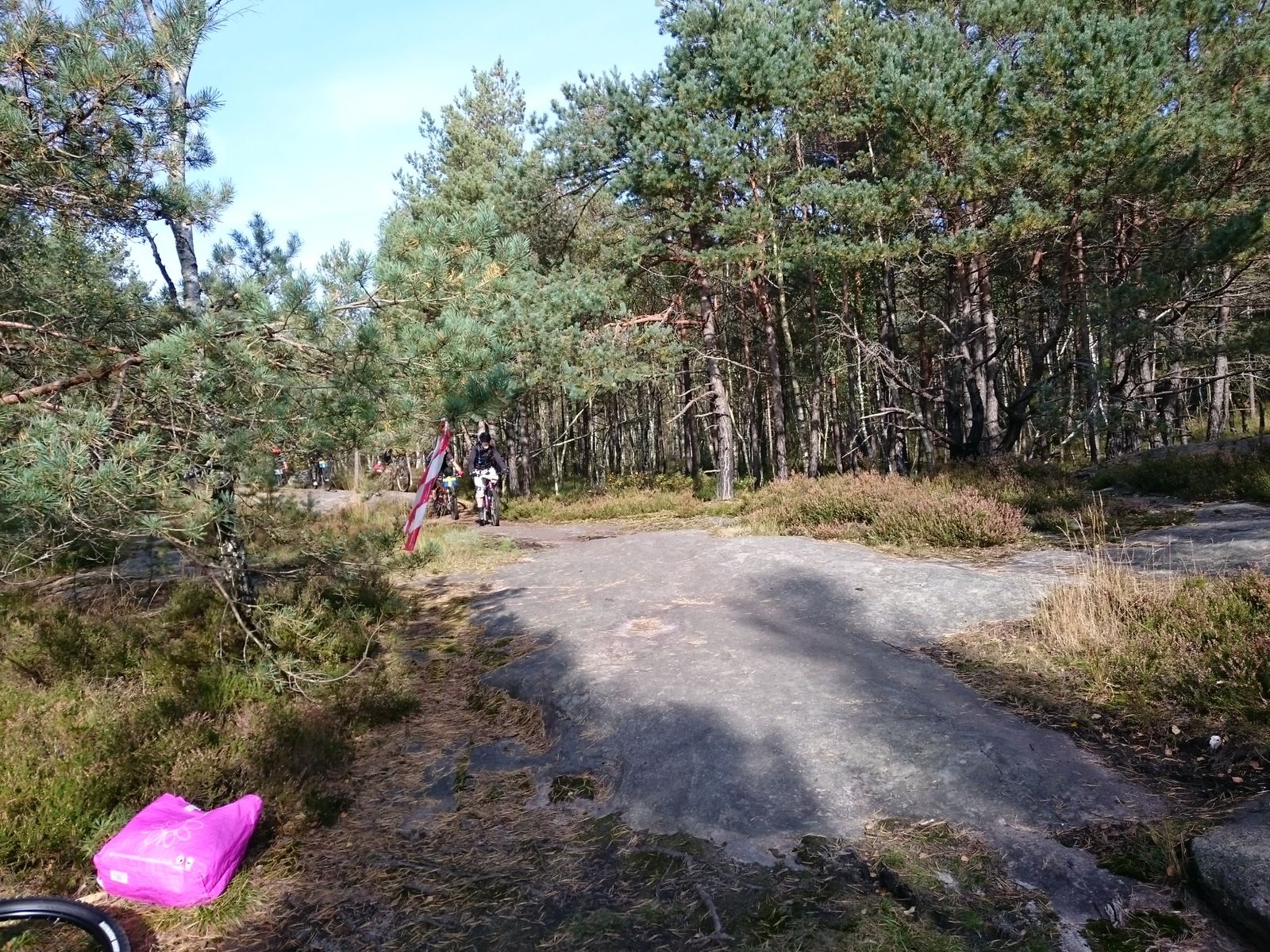 DSC_0028.JPG