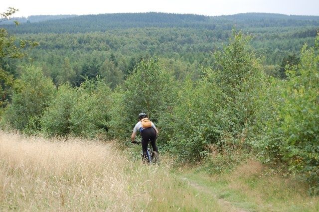 DSC_0036_640.JPG ht=426