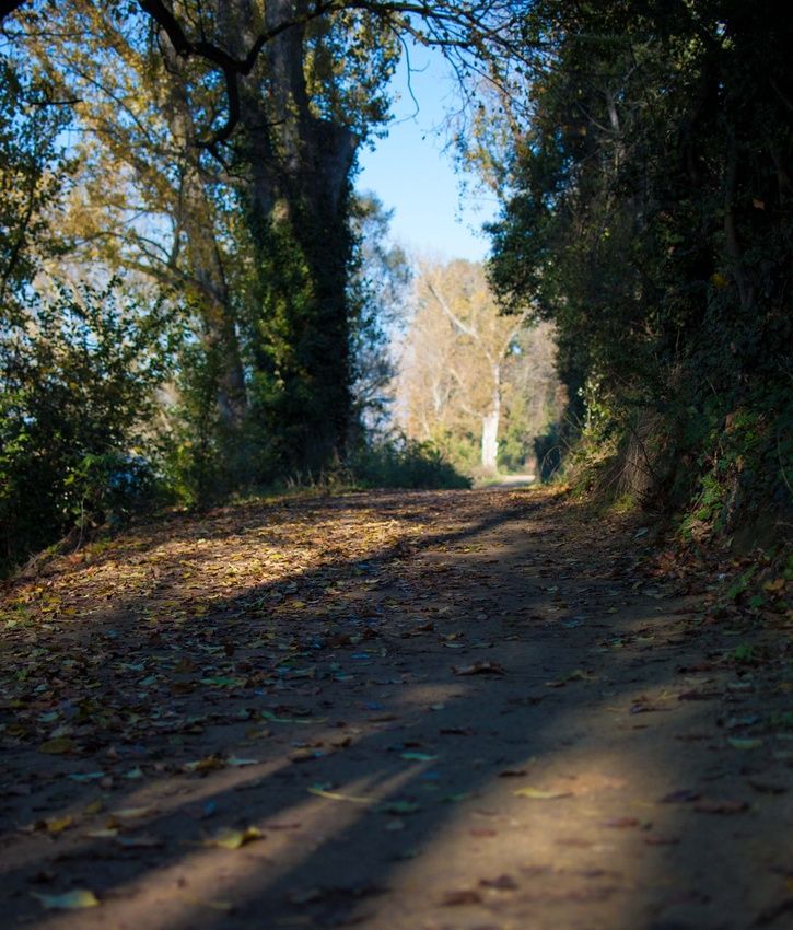 DSC_0039.jpg