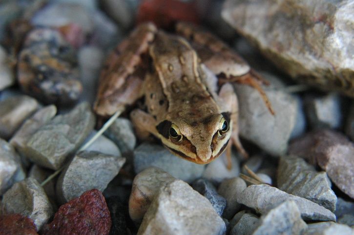 DSC_0043.JPG