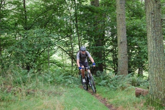 DSC_0052_640.JPG ht=426