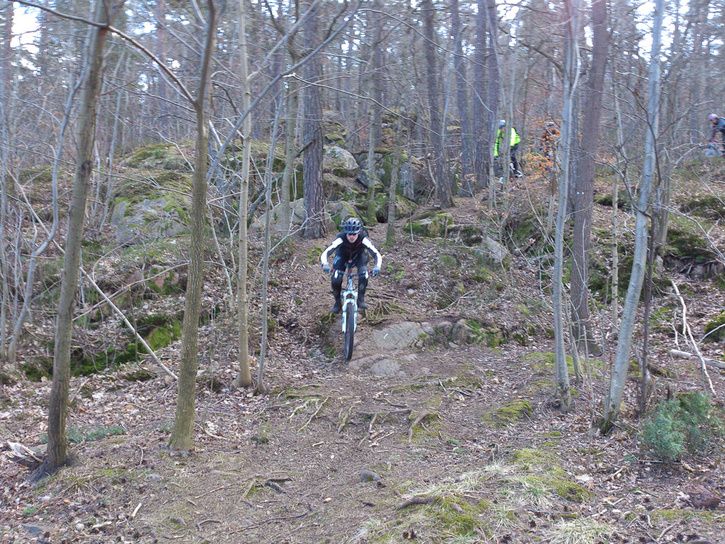 DSC_0053.jpg
