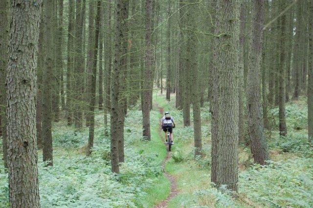 DSC_0054_640.JPG ht=426