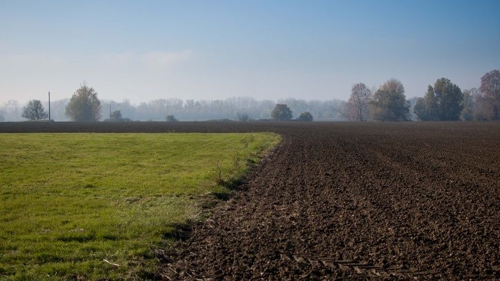 DSC_0057.jpg