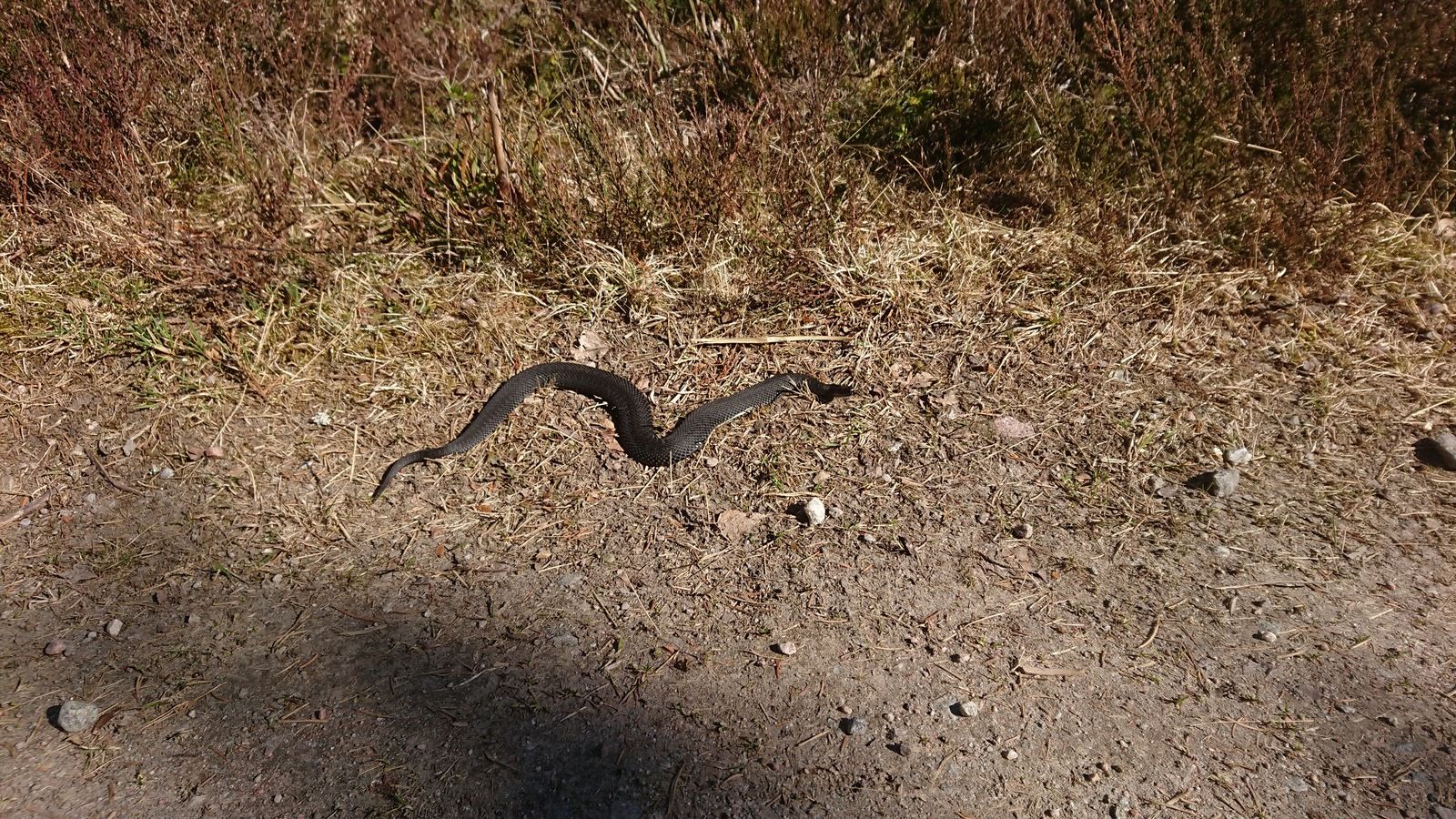 DSC_0057.JPG